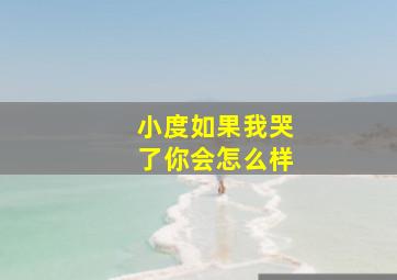 小度如果我哭了你会怎么样