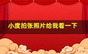 小度拍张照片给我看一下