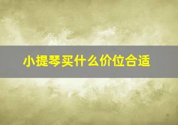 小提琴买什么价位合适