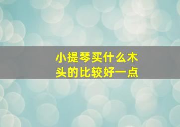 小提琴买什么木头的比较好一点