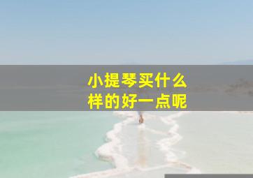 小提琴买什么样的好一点呢