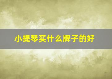 小提琴买什么牌子的好