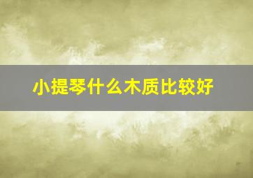 小提琴什么木质比较好