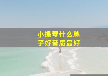 小提琴什么牌子好音质最好