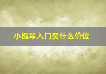 小提琴入门买什么价位