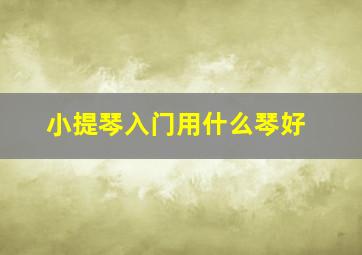 小提琴入门用什么琴好