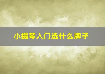 小提琴入门选什么牌子