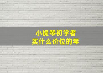 小提琴初学者买什么价位的琴