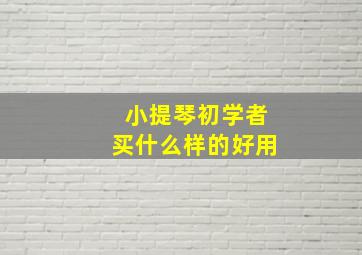 小提琴初学者买什么样的好用