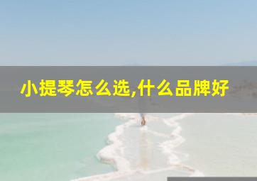 小提琴怎么选,什么品牌好