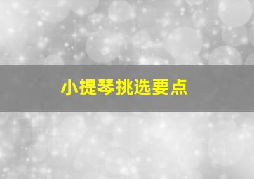 小提琴挑选要点