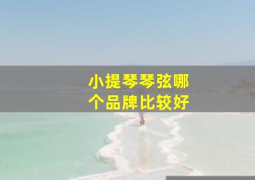 小提琴琴弦哪个品牌比较好