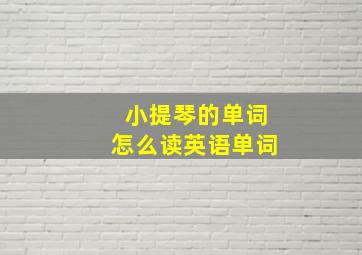 小提琴的单词怎么读英语单词