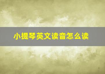 小提琴英文读音怎么读