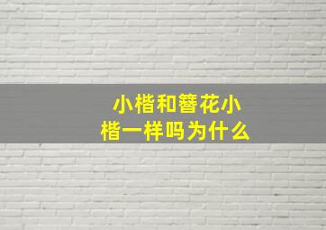 小楷和簪花小楷一样吗为什么