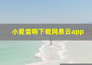 小爱音响下载网易云app