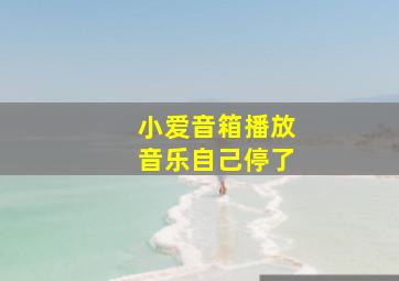 小爱音箱播放音乐自己停了