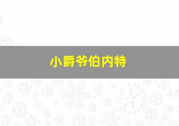 小爵爷伯内特