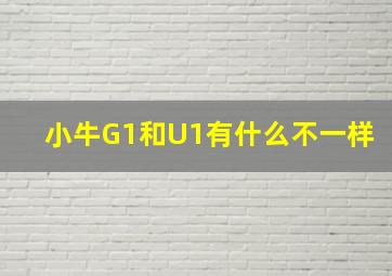 小牛G1和U1有什么不一样