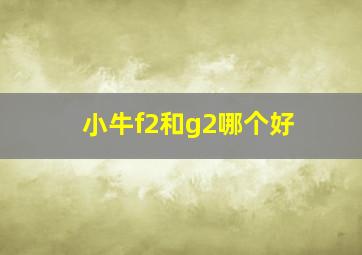 小牛f2和g2哪个好