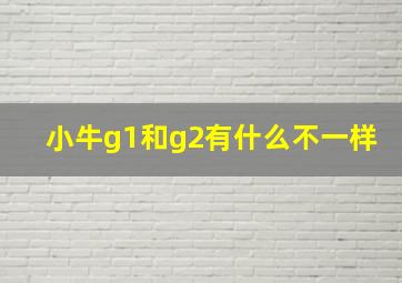 小牛g1和g2有什么不一样