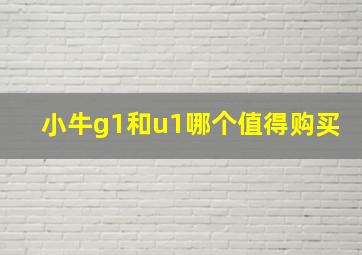 小牛g1和u1哪个值得购买