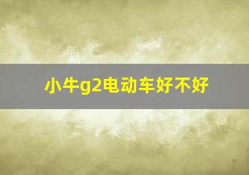 小牛g2电动车好不好