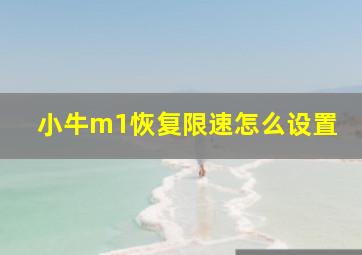 小牛m1恢复限速怎么设置