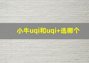 小牛uqi和uqi+选哪个