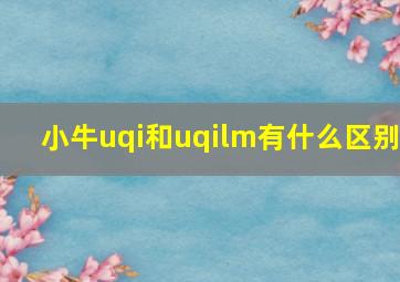 小牛uqi和uqilm有什么区别