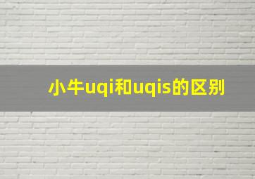 小牛uqi和uqis的区别