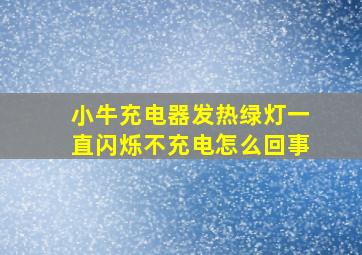 小牛充电器发热绿灯一直闪烁不充电怎么回事