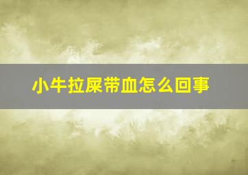 小牛拉屎带血怎么回事