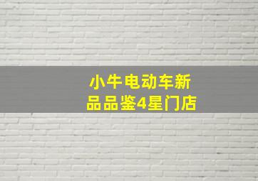 小牛电动车新品品鉴4星门店