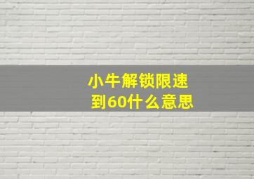 小牛解锁限速到60什么意思