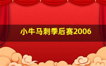 小牛马刺季后赛2006