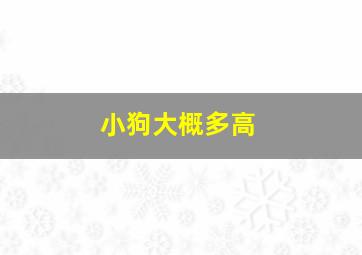 小狗大概多高