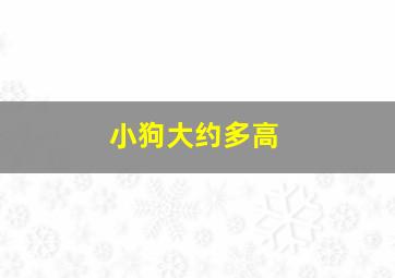 小狗大约多高