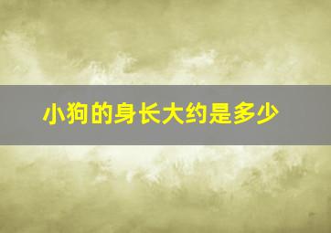 小狗的身长大约是多少