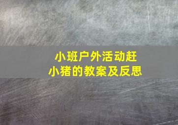 小班户外活动赶小猪的教案及反思