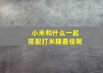 小米和什么一起搭配打米糊最佳呢