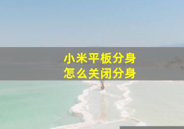 小米平板分身怎么关闭分身