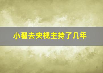 小翟去央视主持了几年