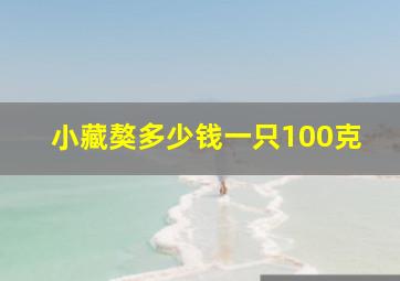 小藏獒多少钱一只100克