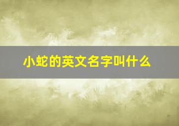 小蛇的英文名字叫什么