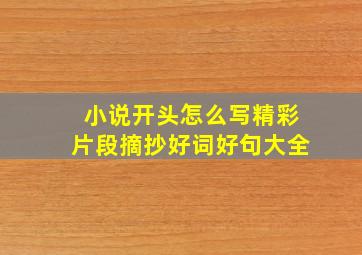 小说开头怎么写精彩片段摘抄好词好句大全