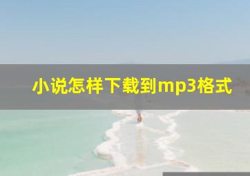 小说怎样下载到mp3格式