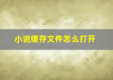 小说缓存文件怎么打开