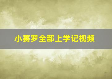 小赛罗全部上学记视频