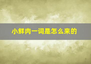 小鲜肉一词是怎么来的